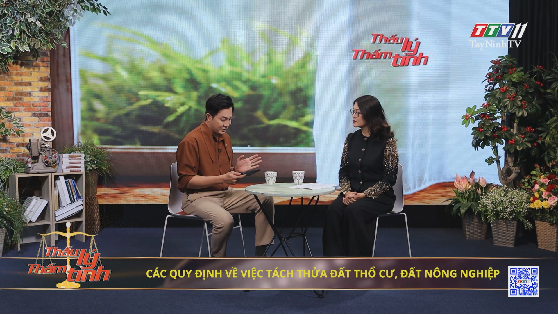 Các quy định về tách thửa đất thổ cư, đất nông nghiệp | THẤU LÝ THẤM TÌNH | TayNinhTVArt